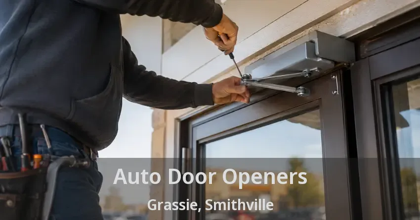 Auto Door Openers Grassie, Smithville - ON