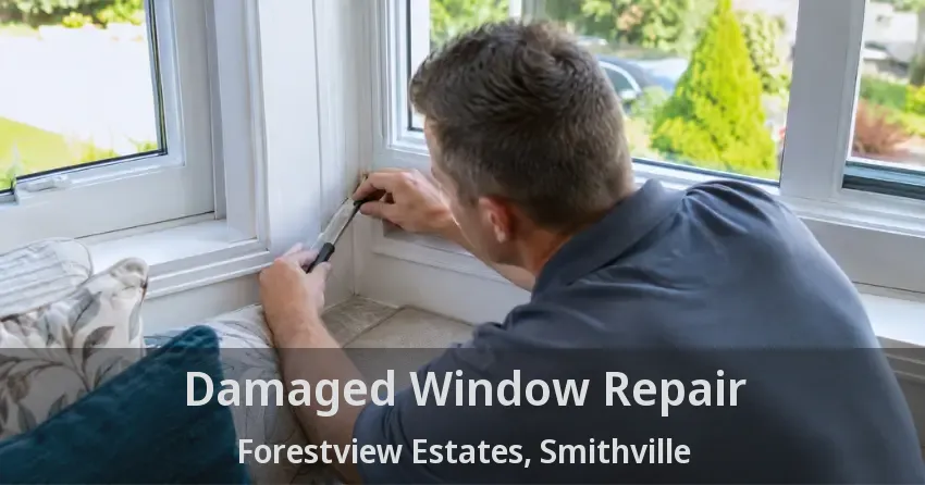 Damaged Window Repair Forestview Estates, Smithville - ON