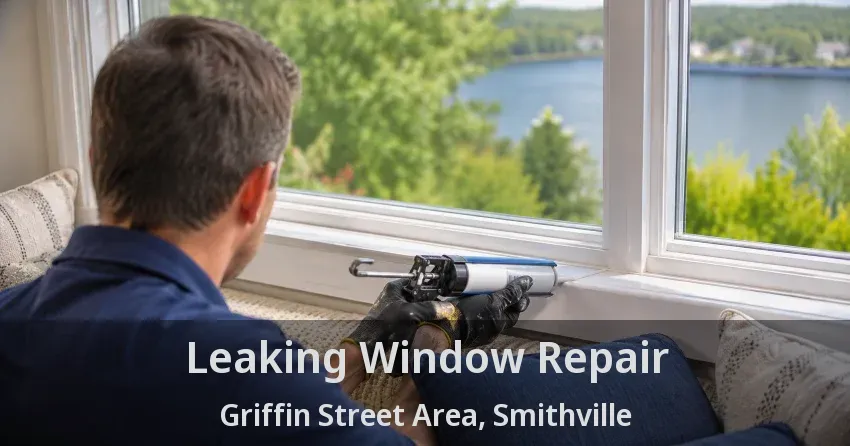 Leaking Window Repair Griffin Street Area, Smithville - ON