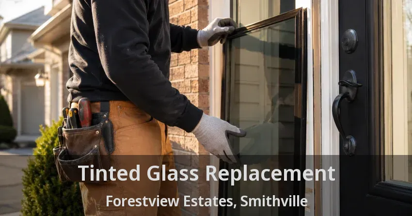 Tinted Glass Replacement Forestview Estates, Smithville - ON